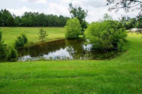 COUNTY ROAD 4201, Crane Hill, AL 35053