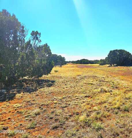 20 Co Road, Concho, AZ 85924