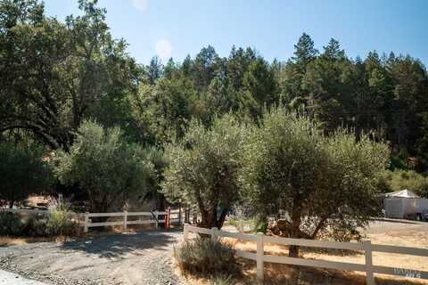 Mount Veeder Road, Saint Helena, CA 94574