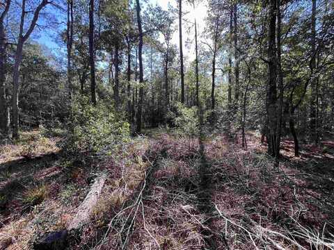 250 PR 5172, Kirbyville, TX 75956