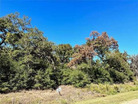 9570 Edinburg Trail, Iola, TX 77861