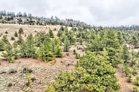 0 Cohonina Road, Hartsel, CO 80449