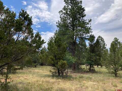 Lot 422 (TBD) South Badger Trail, Ridgway, CO 81432