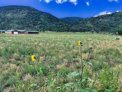 tbd Hidden View Drive, South Fork, CO 81154