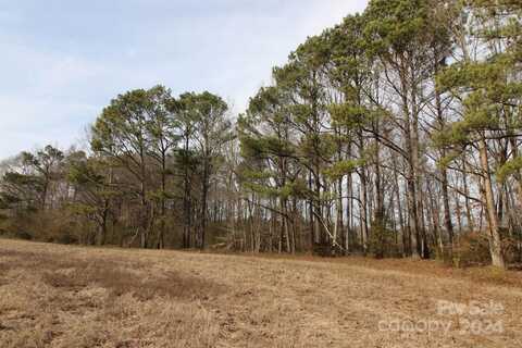 17+/- Ac Quinn Road, Chester, SC 29706