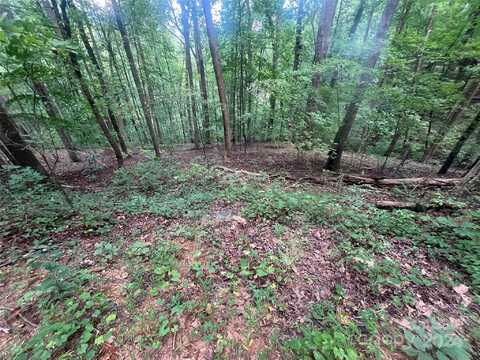 0 Luther Burbank Drive, Lake Lure, NC 28746