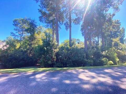 0 Chapel Creek Drive, Santee, SC 29142