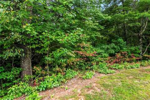 Lot 45 Abbott Mill Road, Ellijay, GA 30540