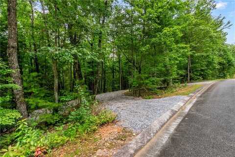 9 & 10 Abbott Mill Road, Ellijay, GA 30540