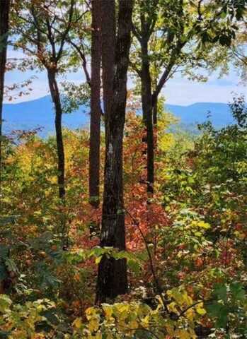 Lot 16 Abbott Mill Road, Ellijay, GA 30540