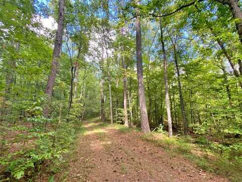 153ac White Path Road, Ellijay, GA 30540