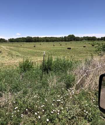 Charlene Lane, Belen, NM 87002