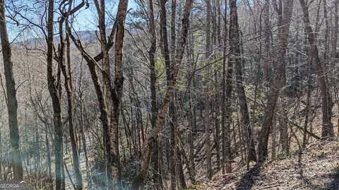 0 Covered Bridge, Sky Valley, GA 30537