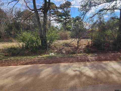 TBD Fredonia, Kilgore, TX 75662