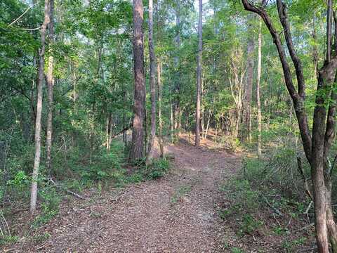 107.3 Acre Redmond Rd., Lumberton, MS 39455