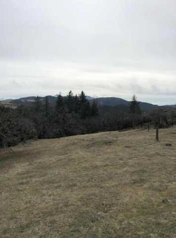 000 Buck Mountain, Dinsmore, CA 95526