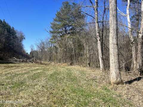 Sloan Rd Lot 14, Vonore, TN 37885