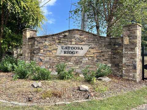 Lot 4 Catoosa Ridge Drive, Crossville, TN 38571