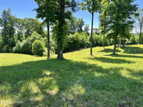 Lot 20 Bluff View Loop, Crossville, TN 38571