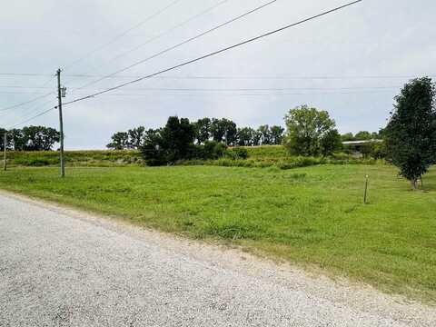 0 BRIDGEVIEW, Adamsville, TN 38310