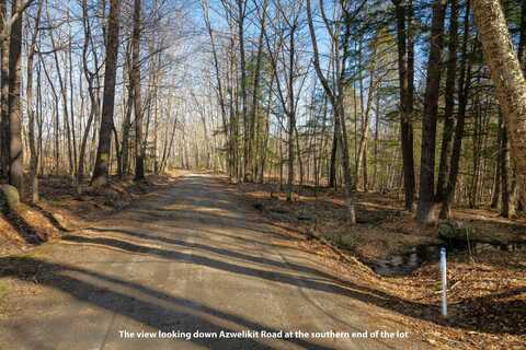 Lot 11-3 Azwelikit Road, Casco, ME 04015