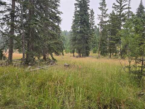 Lot 86 Maple Leaf Road, Gold Creek, MT 59733