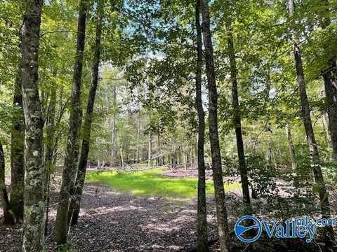 30 Acres County Road 476 NE, Fort Payne, AL 35967