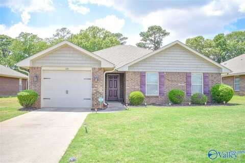 226 Fields Pond Drive, Madison, AL 35756