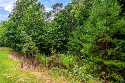 Lot 9-10 Abbott Mill Road, Ellijay, GA 30540