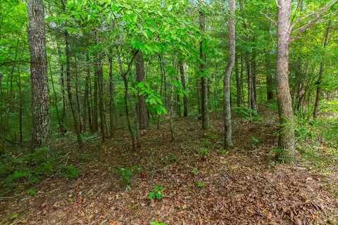 Lot 5-6 Abbott Mill Road, Ellijay, GA 30540