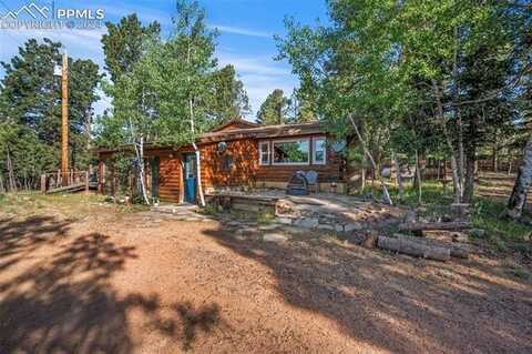 317 Blossom Road, Woodland Park, CO 80863