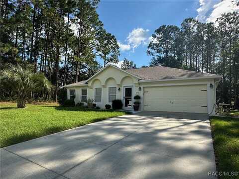 8105 N Tiny Lily Drive, Citrus Springs, FL 34434