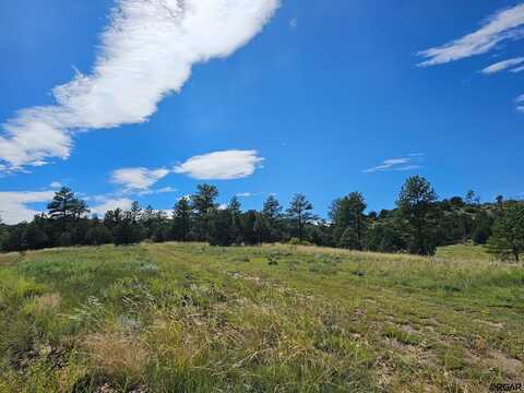 159 MacDonnell Loop, Cotopaxi, CO 81223