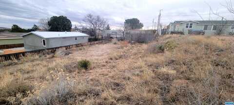 115 W DOROTHY ST, Silver City, NM 88061