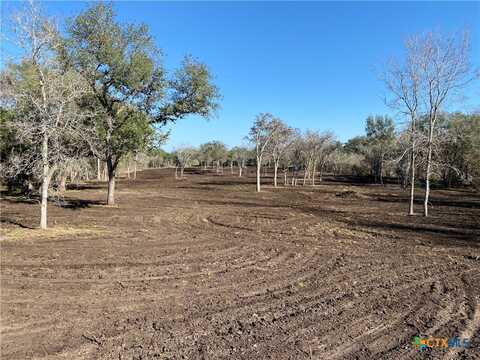 Tbd FM 1351, Goliad, TX 77963