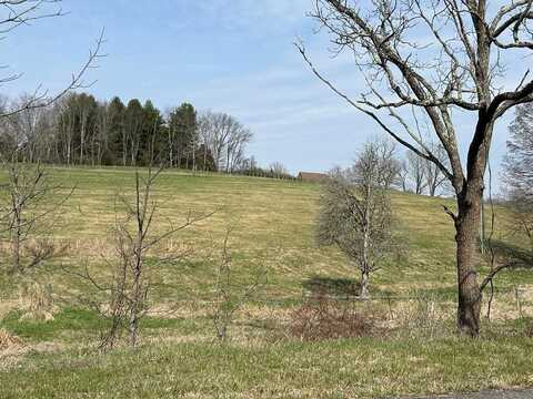 11.82 Ac N 4th St, Wytheville, VA 24382