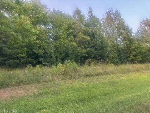 Lot 5 Charlie Francis Road, Sandy Ridge, NC 27046