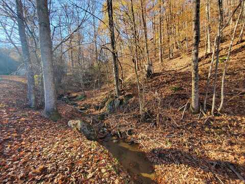 00 Ingram Branch Road, Roan Mountain, TN 37687