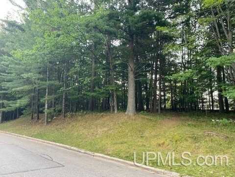 Elder Drive Lot 7, Marquette, MI 49855