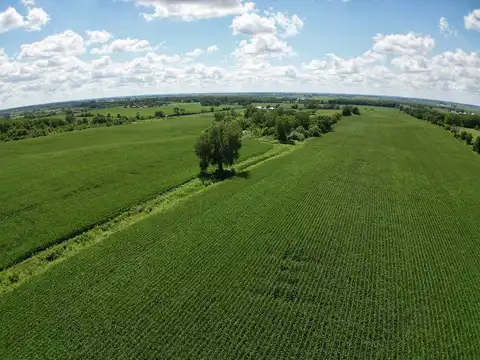 Busse, MARENGO, IL 60152