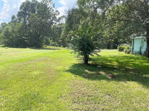 Everglade, LIVINGSTON, TX 77351