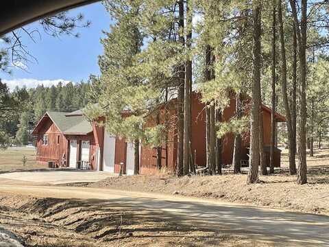 Pine Tree, ANGEL FIRE, NM 87710