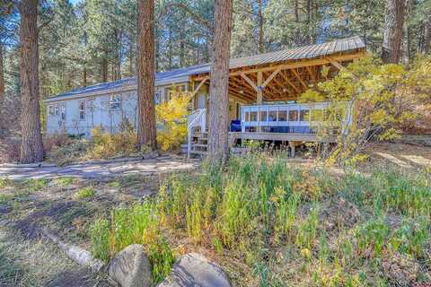 Taylor Lane, Pagosa Springs, CO 81147