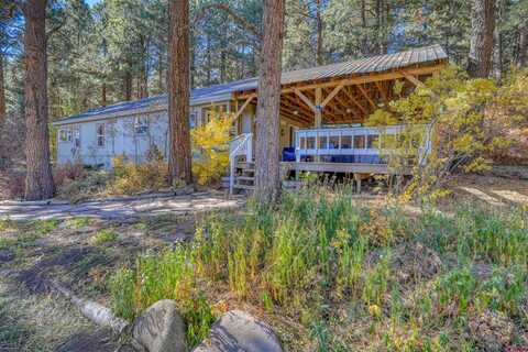 Taylor Lane, Pagosa Springs, CO 81147