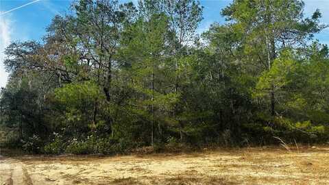 Eastwood, INVERNESS, FL 34452