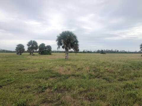 Rondo, PLACIDA, FL 33946