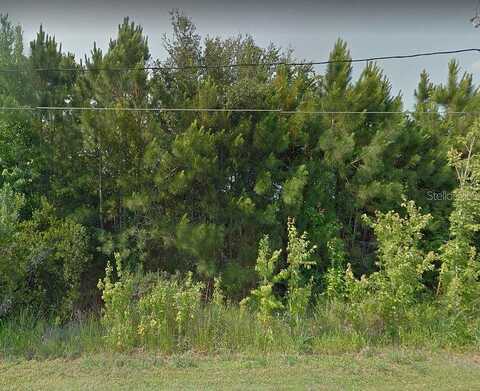 Spoonbill, KISSIMMEE, FL 34759