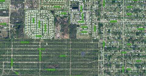 Parrot, SEBRING, FL 33870