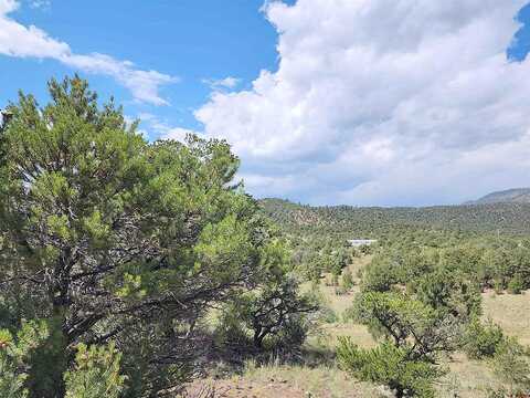 Cactus, SOUTH FORK, CO 81154