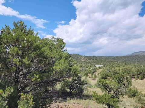 Cactus, SOUTH FORK, CO 81154